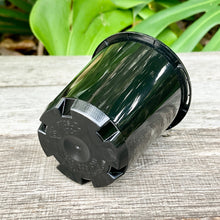 Load image into Gallery viewer, Black Propagation Pot 7cm (170ml)
