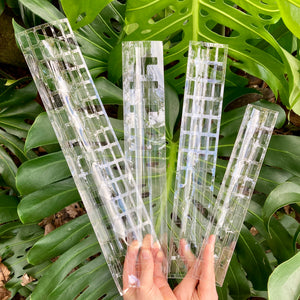 THICCLY Clear Grow Poles (All Sizes)