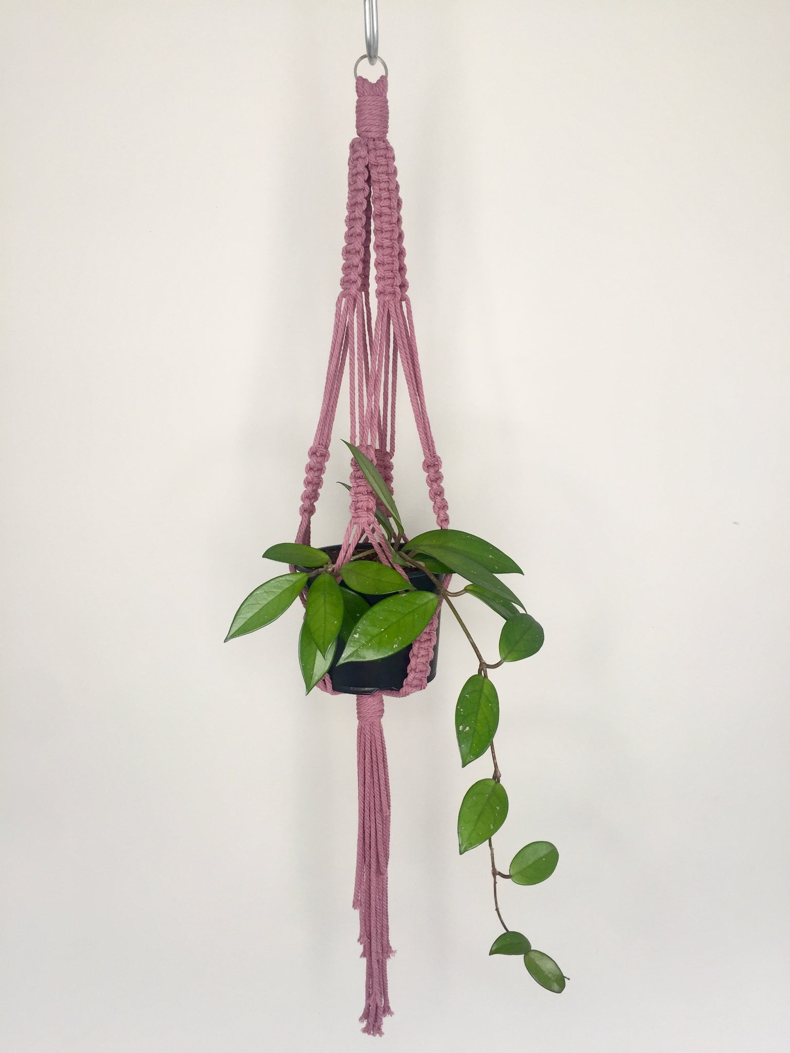 pink macrame plant hanger Buy 'Fully Knotted' Macrame Plant Hanger – GrowingGreen NZ