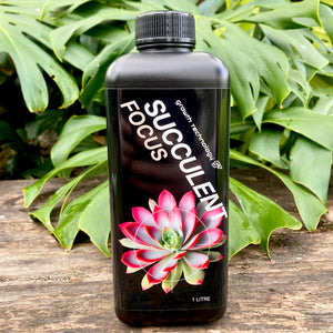 Growth Technology Succulent Focus