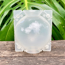 Load image into Gallery viewer, Propagation Rooting Ball Large (12cm) SECONDS (Sample Set Available)
