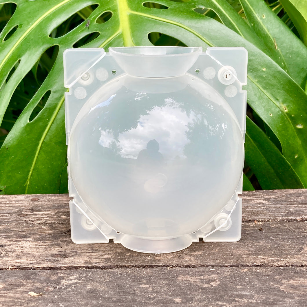 Propagation Rooting Ball Large (12cm) SECONDS (Sample Set Available)