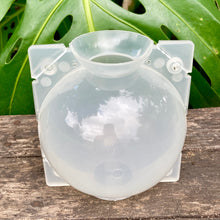 Load image into Gallery viewer, Propagation Rooting Ball Large (12cm) SECONDS (Sample Set Available)
