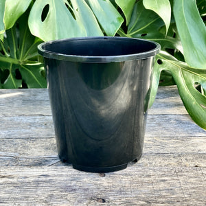 Black Nursery Pot 15cm (2L)