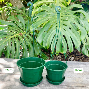 Hanging Pot Green/Black 14cm (850ml)