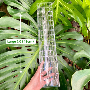 THICCLY Clear Grow Pole