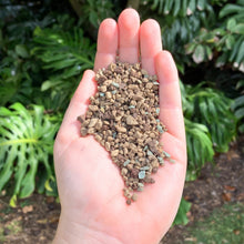 Load image into Gallery viewer, Lechuza Pon
