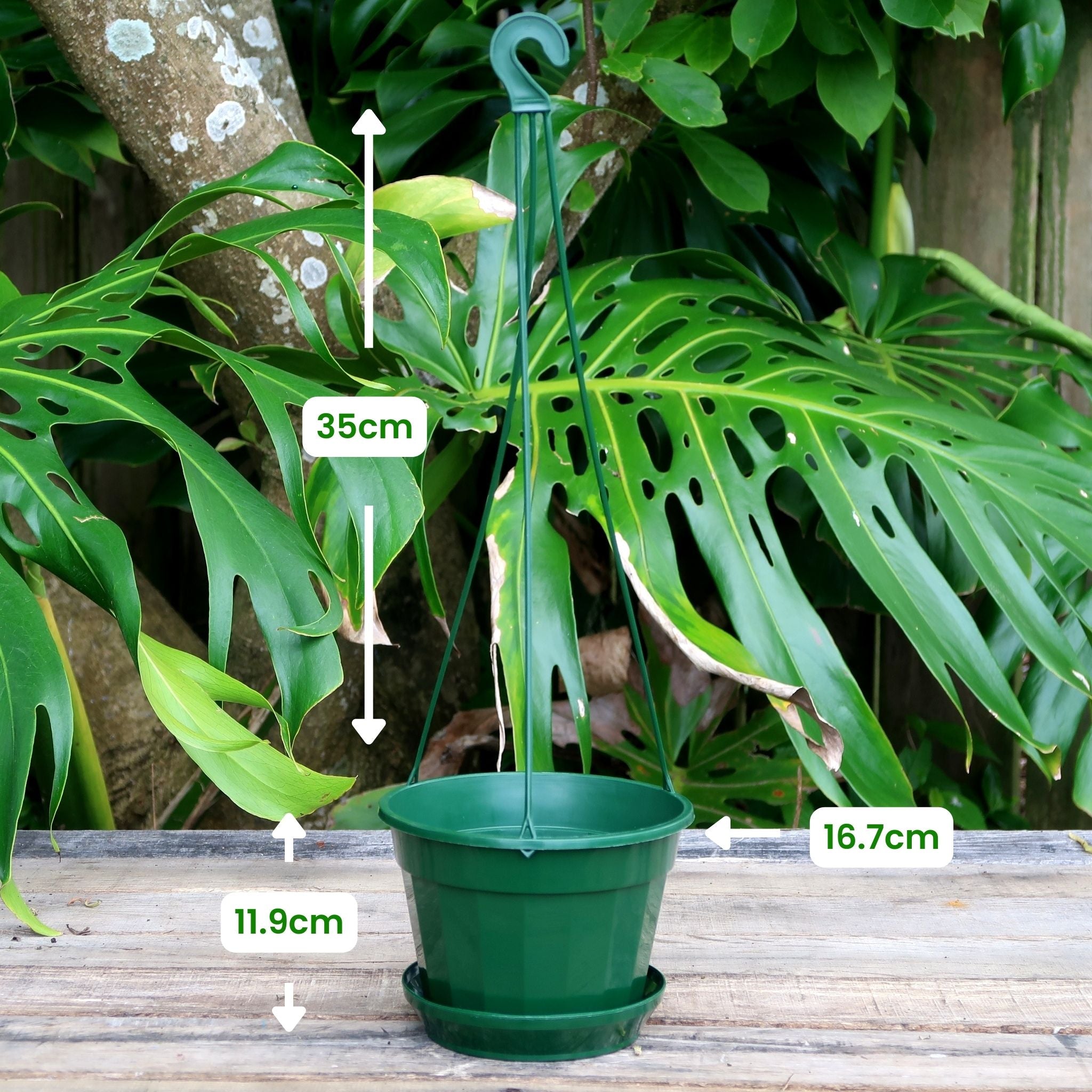 hanging pot plants nz Buy Hanging Plant Pot Green or Black 14cm (1.5L) – GrowingGreen NZ