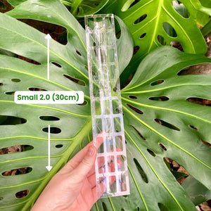 THICCLY Clear Grow Pole