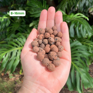 clay pellets for plants Buy Hydro Clay Balls LECA (4-8mm / 8-16mm) – GrowingGreen NZ