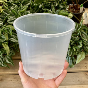 Clear Nursery Pot 17cm (2.5L)