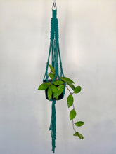 Load image into Gallery viewer, 'Fully Knotted' Macrame Plant Hanger
