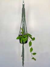 Load image into Gallery viewer, &#39;Fully Knotted&#39; Macrame Plant Hanger

