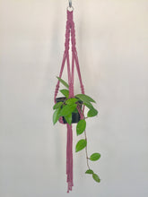Load image into Gallery viewer, &#39;Fully Twisted&#39; Macrame Plant Hanger
