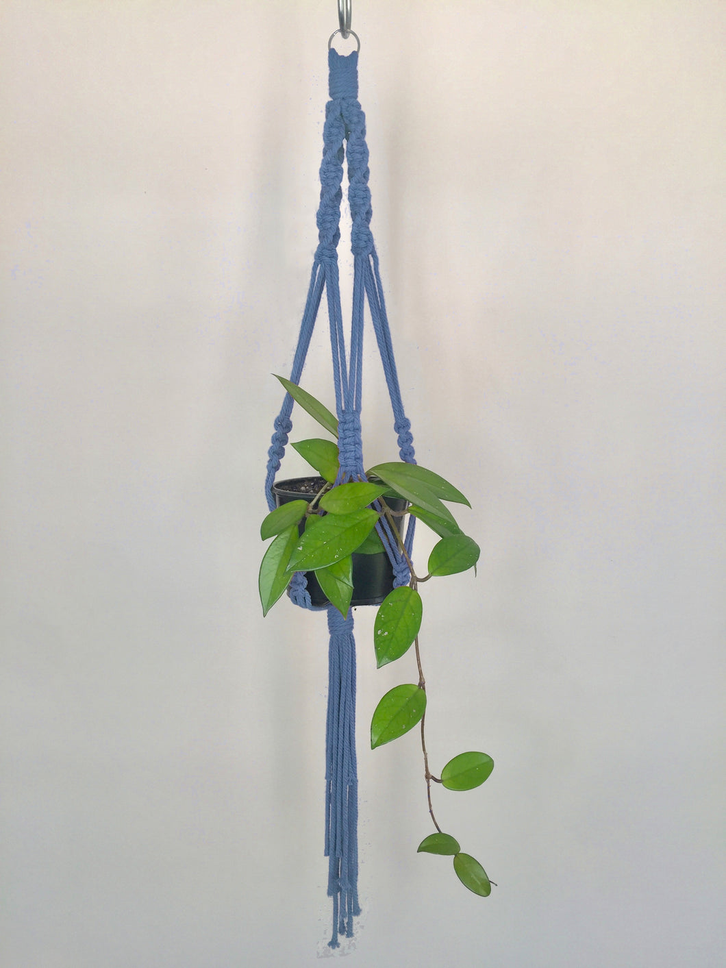 'Fully Twisted' Macrame Plant Hanger