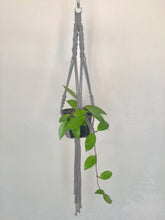 Load image into Gallery viewer, &#39;Fully Twisted&#39; Macrame Plant Hanger
