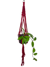 Load image into Gallery viewer, 'Half n Half' Macrame Plant Hanger
