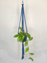 Load image into Gallery viewer, &#39;Half Straight&#39; Macrame Plant Hanger
