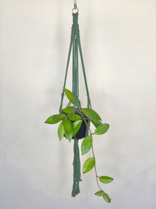 'Half Straight' Macrame Plant Hanger