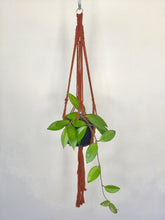 Load image into Gallery viewer, &#39;Half Straight&#39; Macrame Plant Hanger
