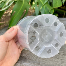 Load image into Gallery viewer, Clear Nursery Pot 10cm SECONDS
