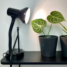Load image into Gallery viewer, Sansai Desk Lamp Black E27 25W
