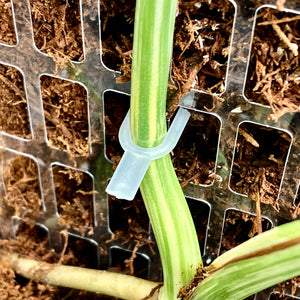 Plant Soil Pins 5cm