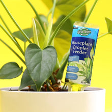 Load and play video in Gallery viewer, Gro-Sure Houseplant Droplet Feeder

