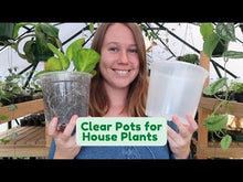 Load and play video in Gallery viewer, Clear Nursery Pot 15cm (2L)
