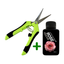 Load image into Gallery viewer, Rose Lovers Combo
