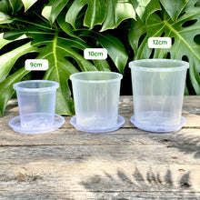 Load image into Gallery viewer, Clear Pot Saucer 100mm
