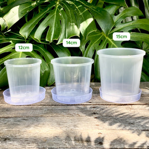 Clear Pot Saucer 140mm