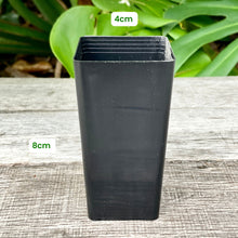 Load image into Gallery viewer, Black Square Propagation Tube 4cm (110ml)
