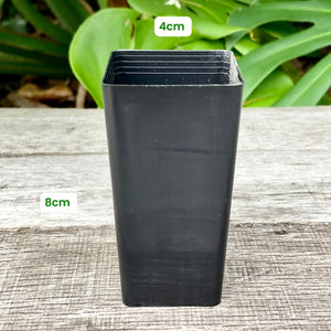 Black Square Propagation Tube 4cm (110ml)