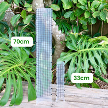 Load image into Gallery viewer, Grow Vertical Plant Support
