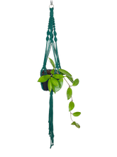 Load image into Gallery viewer, &#39;Half n Half&#39; Macrame Plant Hanger
