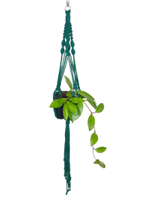'Half n Half' Macrame Plant Hanger