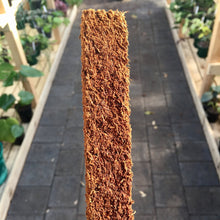 Load image into Gallery viewer, 2 x 75cm Tree Fern Fibre Totem Pole Combo Deal
