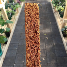 Load image into Gallery viewer, 2 x 100cm Tree Fern Fibre Totem Pole Combo Deal
