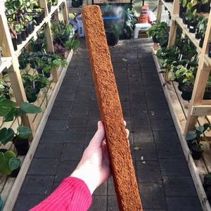 2 x 50cm Tree Fern Fibre Totem Pole Combo Deal