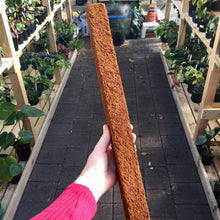 Load image into Gallery viewer, 2 x 75cm Tree Fern Fibre Totem Pole Combo Deal
