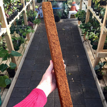 Load image into Gallery viewer, 2 x 100cm Tree Fern Fibre Totem Pole Combo Deal
