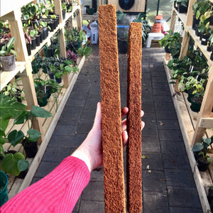 Tree Fern Fibre Totem Poles