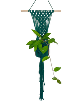Load image into Gallery viewer, &#39;Diamanté&#39; Macrame Wall Plant Hanger
