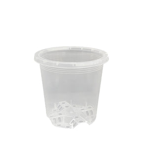 Clear Nursery Pot 9cm
