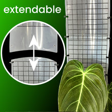 Load image into Gallery viewer, Grow Vertical Plant Support
