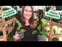 Load and play video in Gallery viewer, Grow Vertical Plant Support
