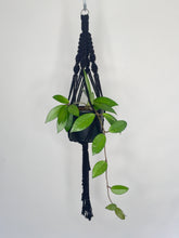 Load image into Gallery viewer, &#39;Half n Half&#39; Macrame Plant Hanger
