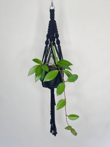 'Half n Half' Macrame Plant Hanger