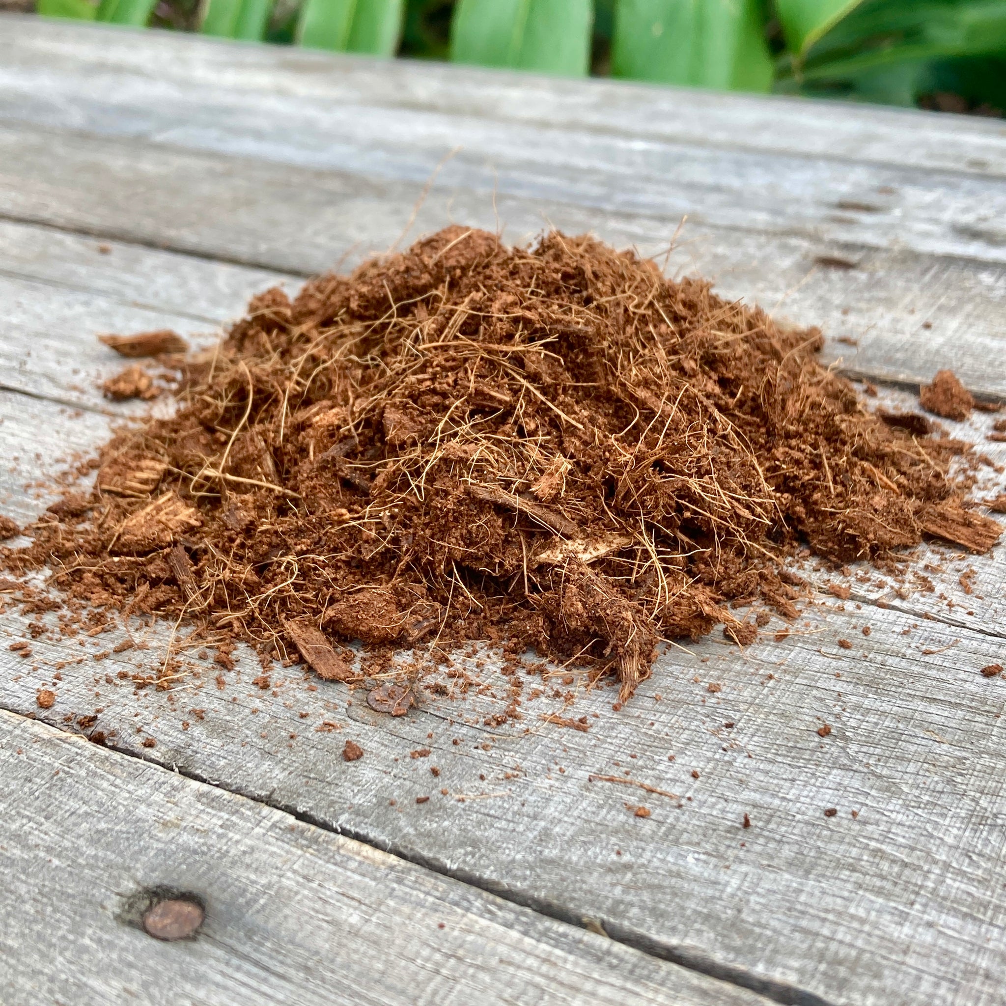 se alkove Kloster Coco Chip & Coco Coir 50/50 Blend – GrowingGreen NZ